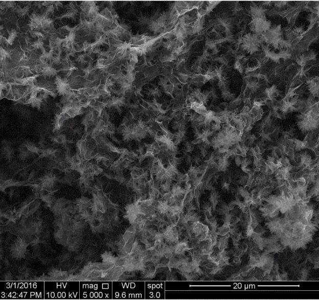 氧化石墨烯-氧化鋁復(fù)合氣凝膠SEM圖片